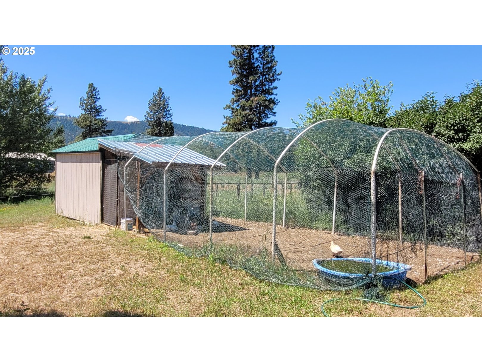 46252 Slaughterhouse Road Halfway, OR 97834 - Photo 17 of 24