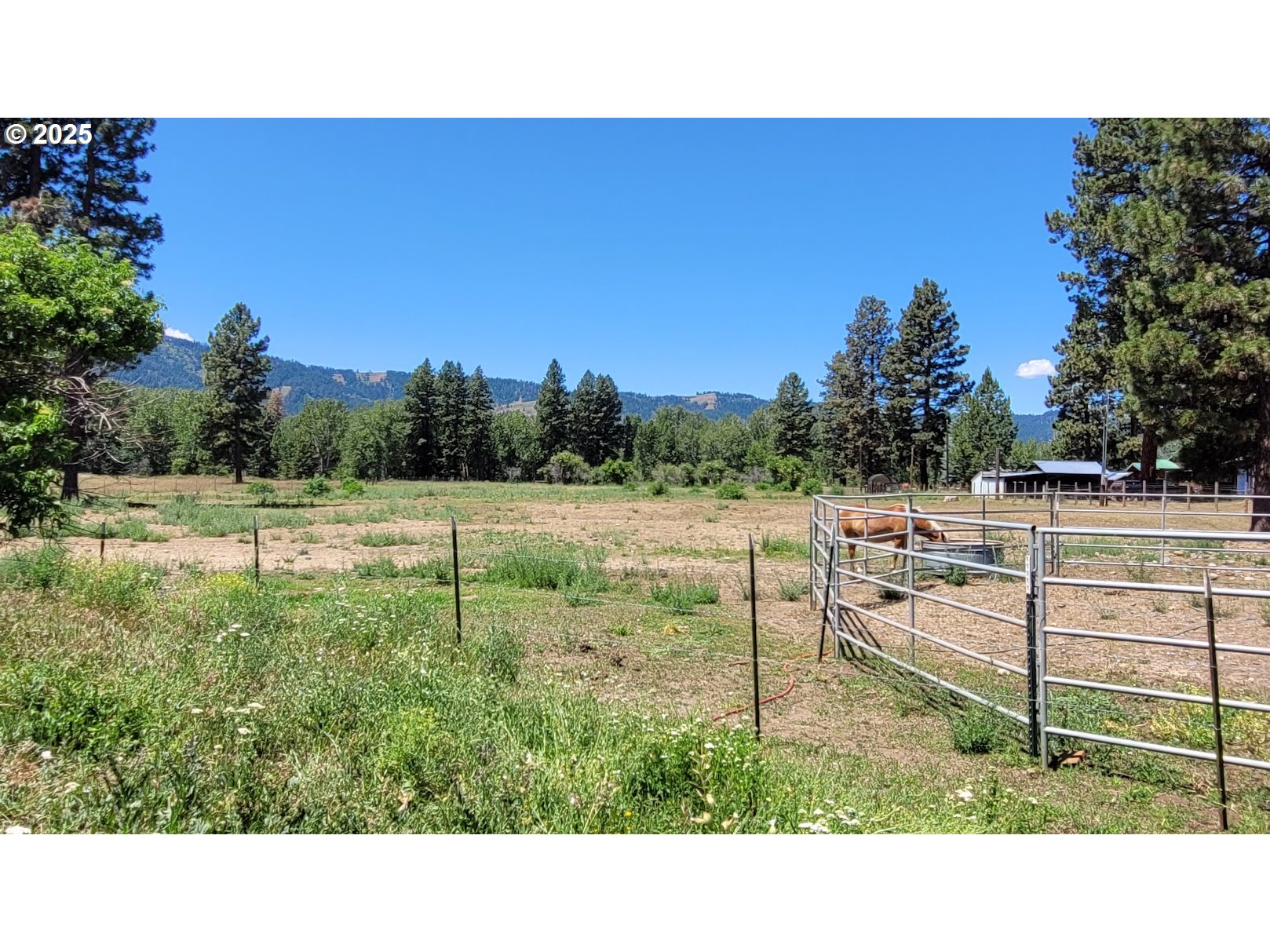 46252 Slaughterhouse Road Halfway, OR 97834 - Photo 3 of 24