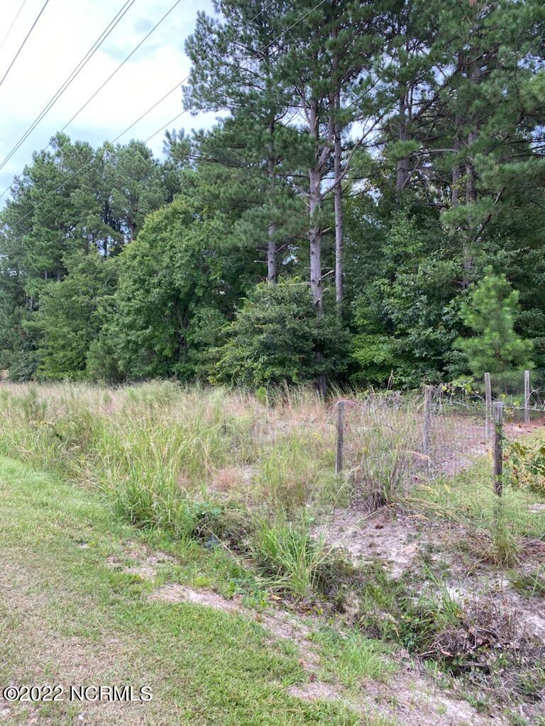 Tr#2 Powell Farm Road Lillington, NC 27546 - Photo 2 of 3 Photo