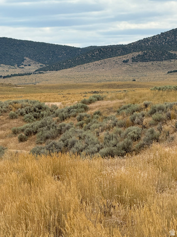 23 Old Dam Road, Unit 23 Levan, UT 84639 - Photo 15 of 17