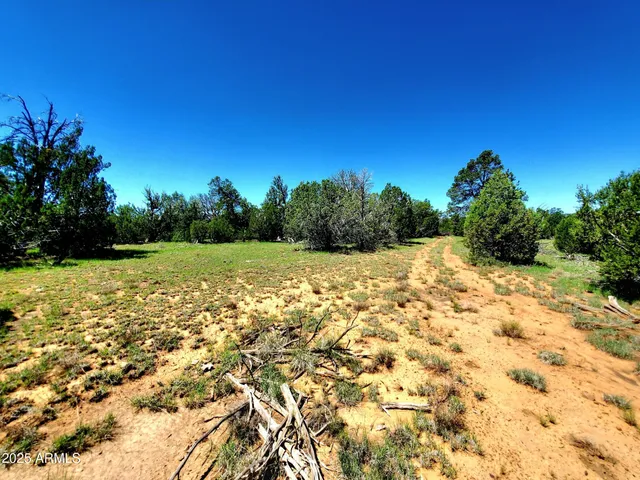 $86,000 | 8571 Haven Crest Drive, Unit 229, Happy Jack, AZ 86024