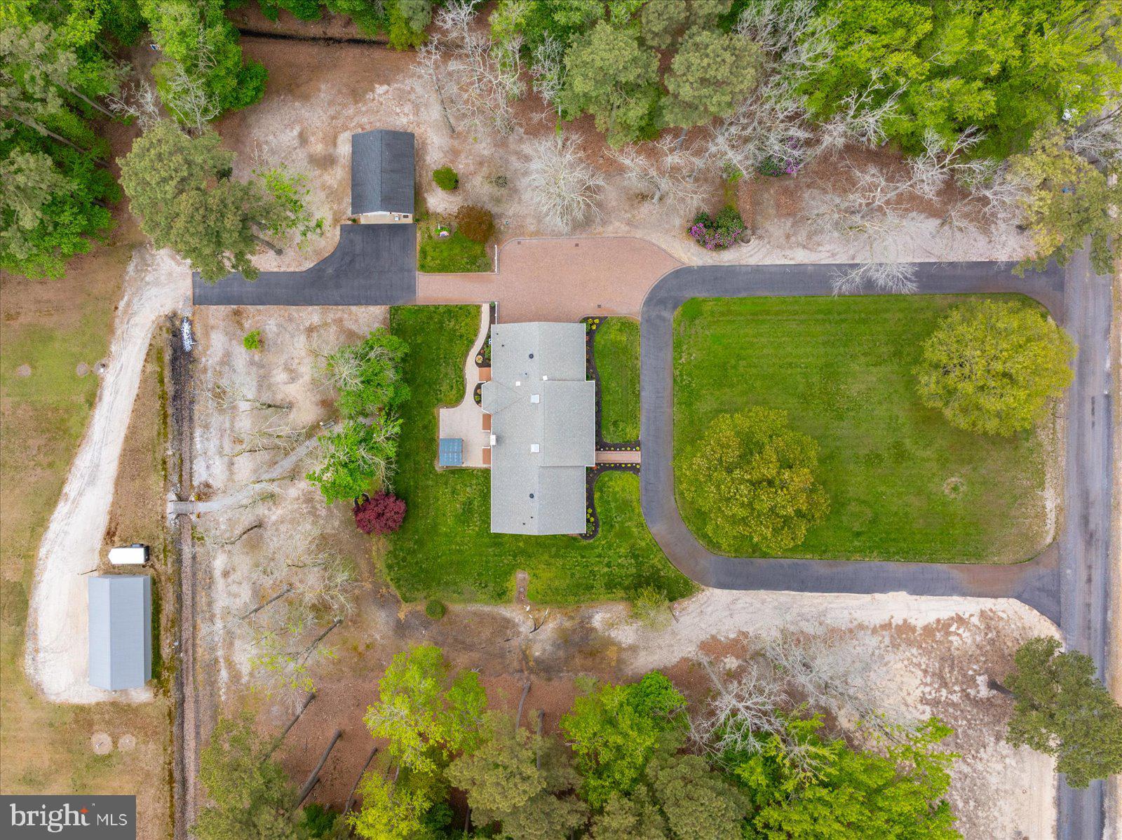 33915 Shockley Road Parsonsburg, MD 21849 - Photo 123 of 125 Serene retreat amidst lush greenery.