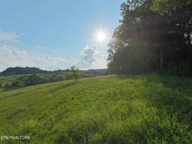 $469,900 | 2409 Valley Home Road, Talbott, TN 37877