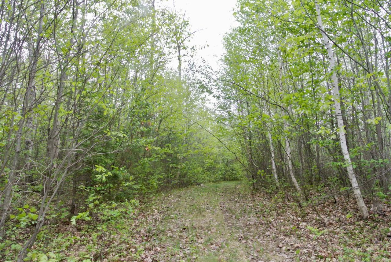6420 River Road Eagle River, WI 54521 - Photo 17 of 24 Gallery Image 17