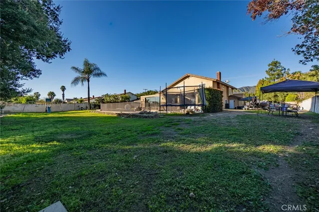 a view of a park with large trees
