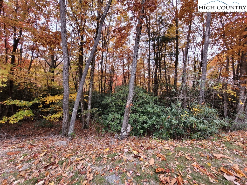 1134 Pine Ridge Road Beech Mountain, NC 28604 - Photo 1 of 5 a view of outdoor space