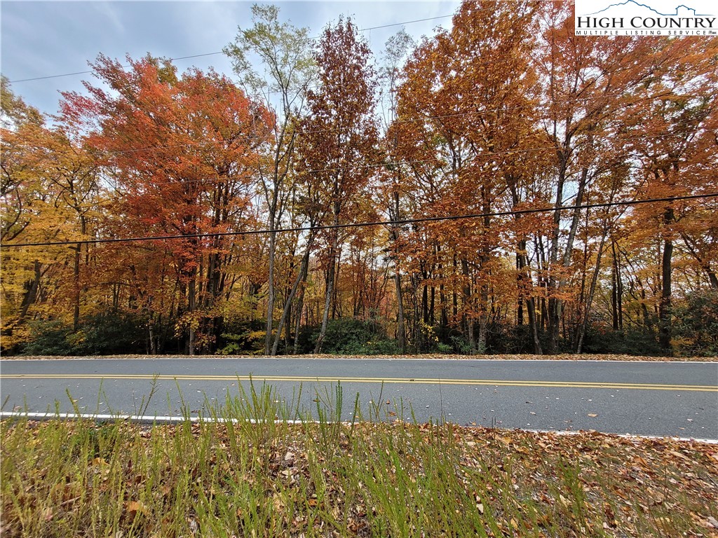 1134 Pine Ridge Road Beech Mountain, NC 28604 - Photo 4 of 5 a view of backyard with large trees