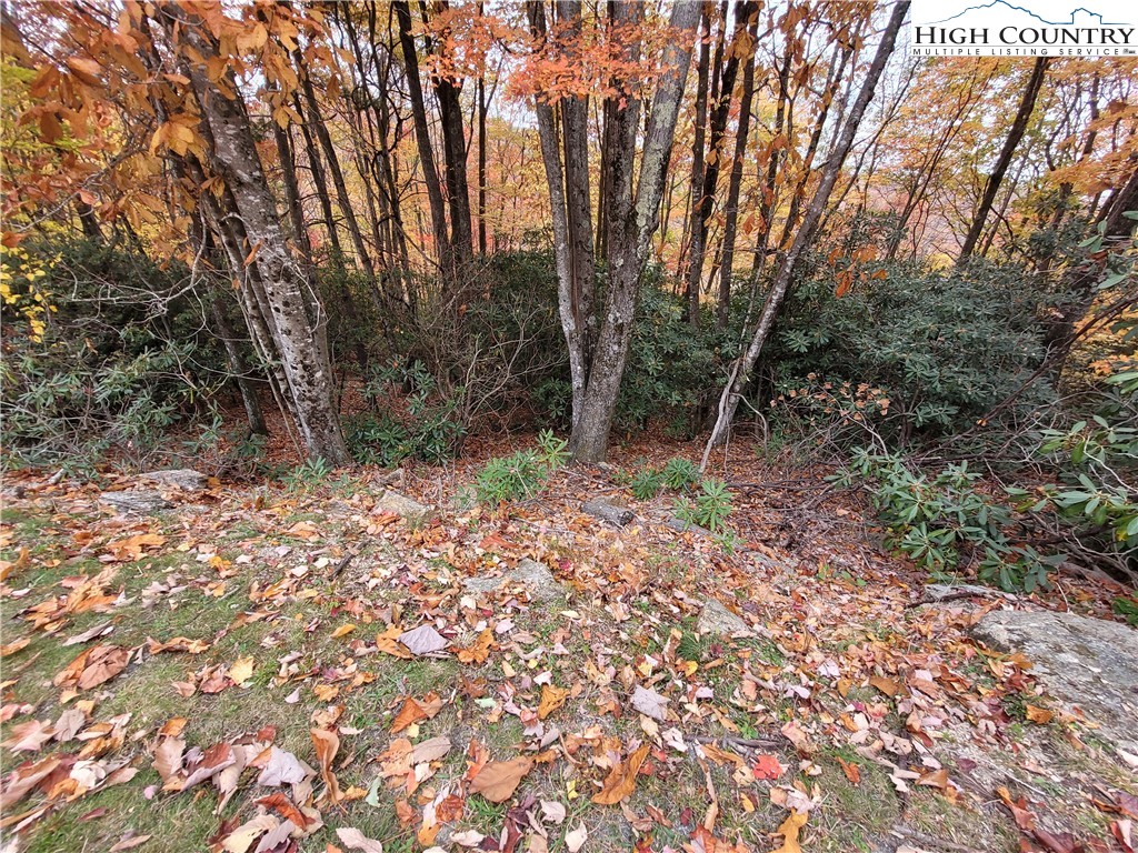 1134 Pine Ridge Road Beech Mountain, NC 28604 - Photo 5 of 5 a backyard of a house with lots of green space