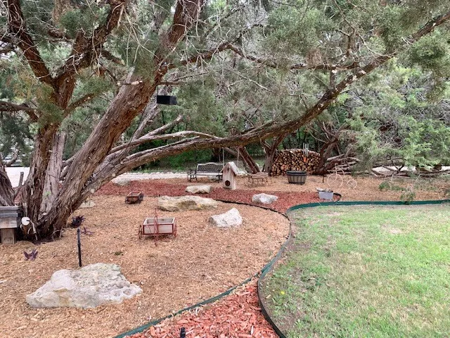 a view of a yard with plants and trees