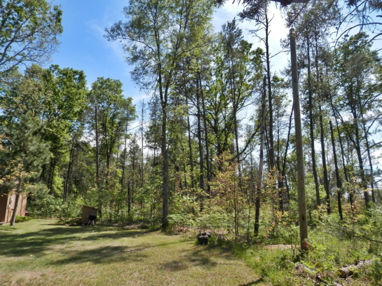 841 11 Mile Road Irons, MI 49644 - Photo 34 of 38 Private wooded acreage