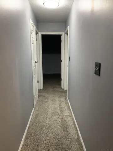 an entryway door with a hallway in the house