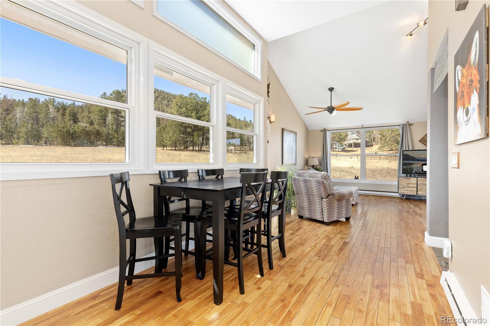 1819 Nova Road Pine, CO 80470 - Photo 15 of 41 Gallery Image 15