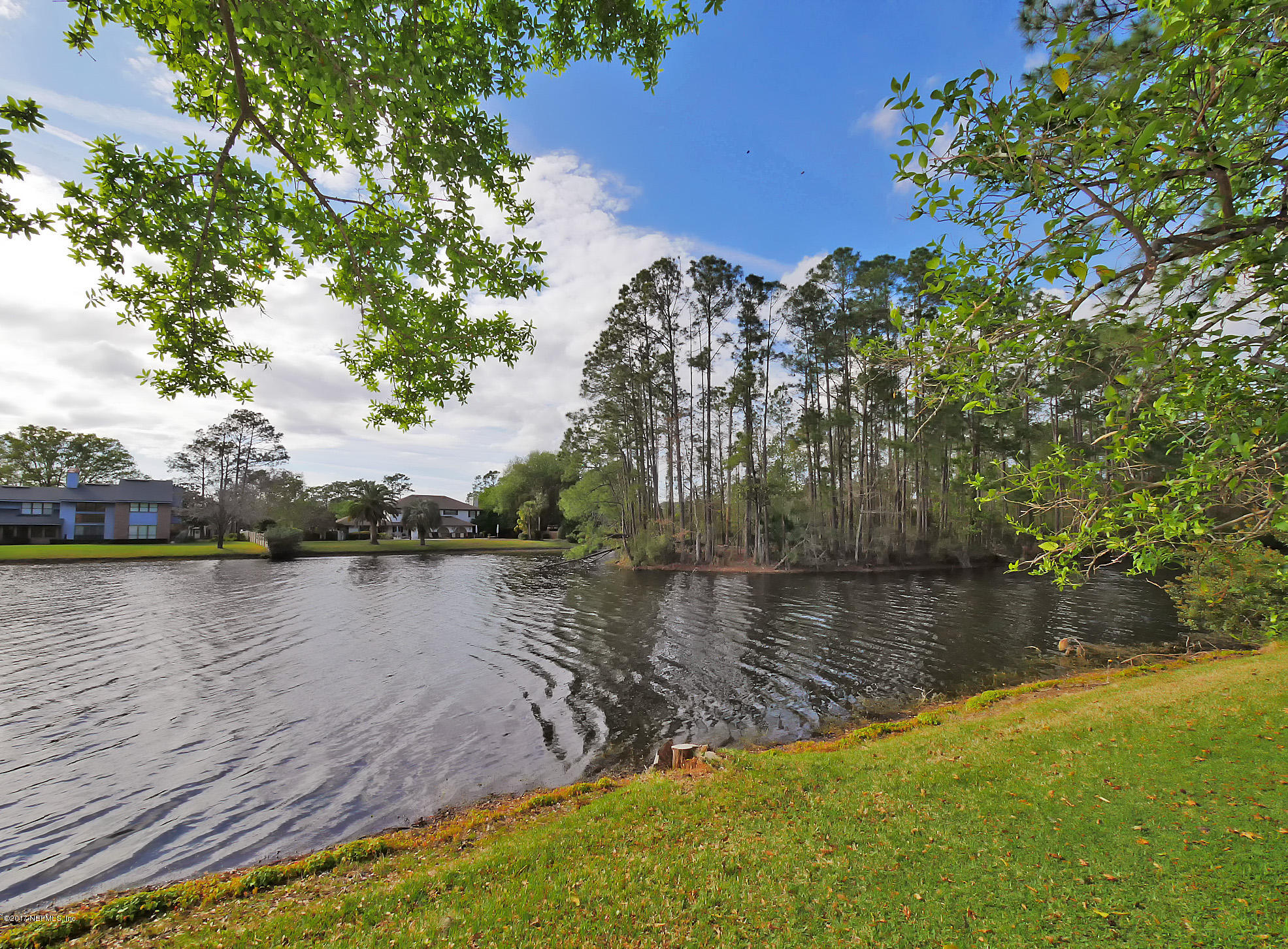 8074 Green Glade Road Jacksonville, FL 32256 - Photo 64 of 71 a view of a lake with houses in the back