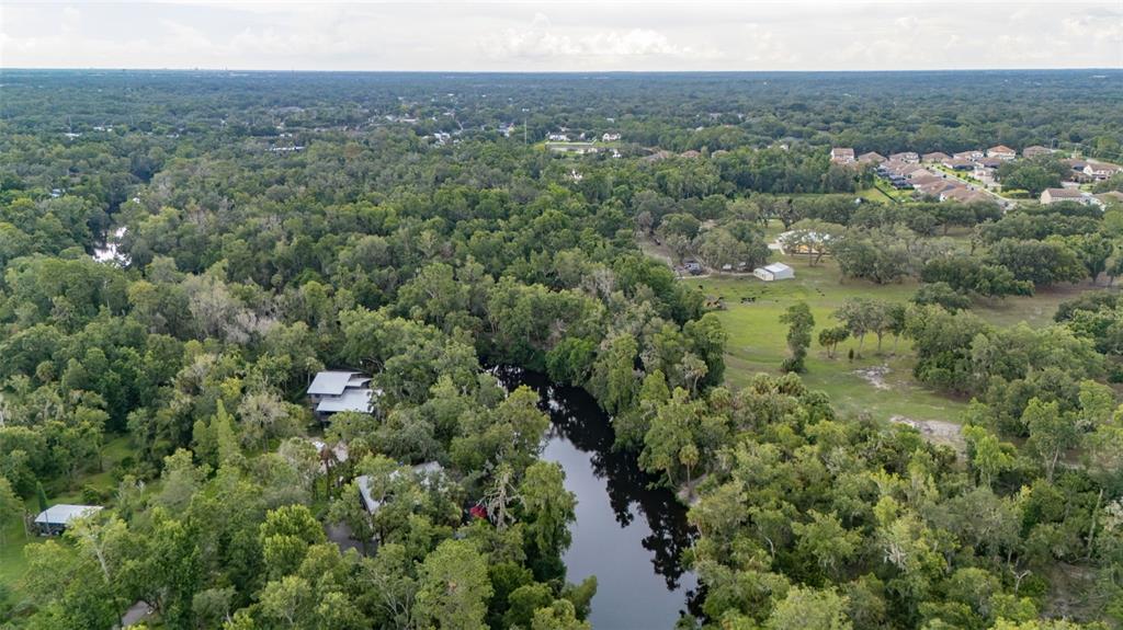 8312 Revels Road Riverview, FL 33569 - Photo 47 of 64