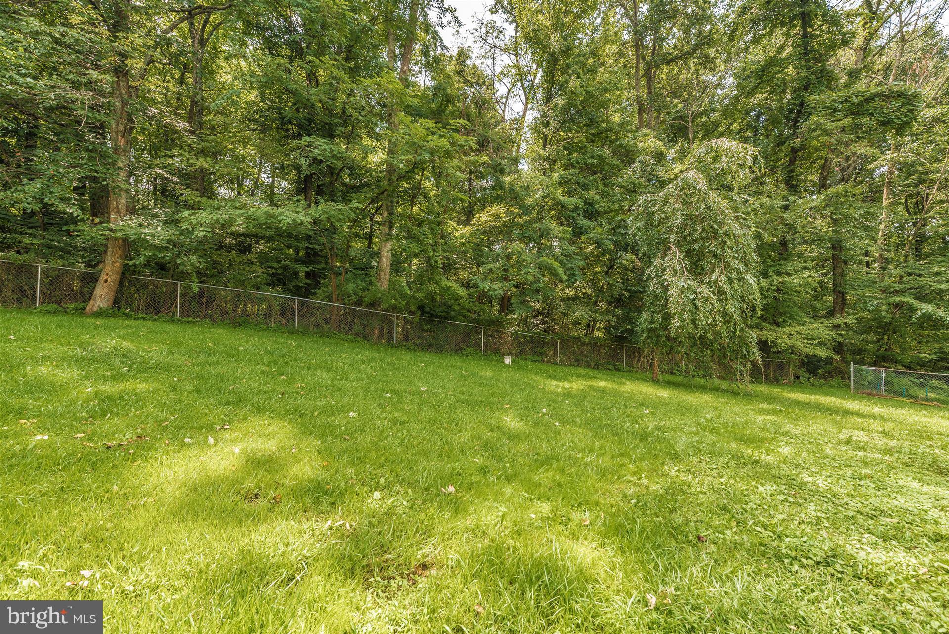 10551 Rum Springs Road Frederick, MD 21702 - Photo 23 of 24 a view of a yard with a trees