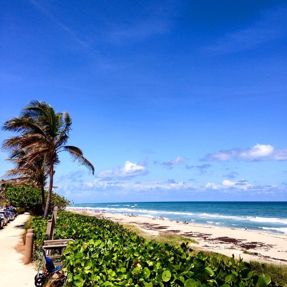 1320 High Point Place South, Unit C Delray Beach, FL 33445 - Photo 54 of 56 Delray beach