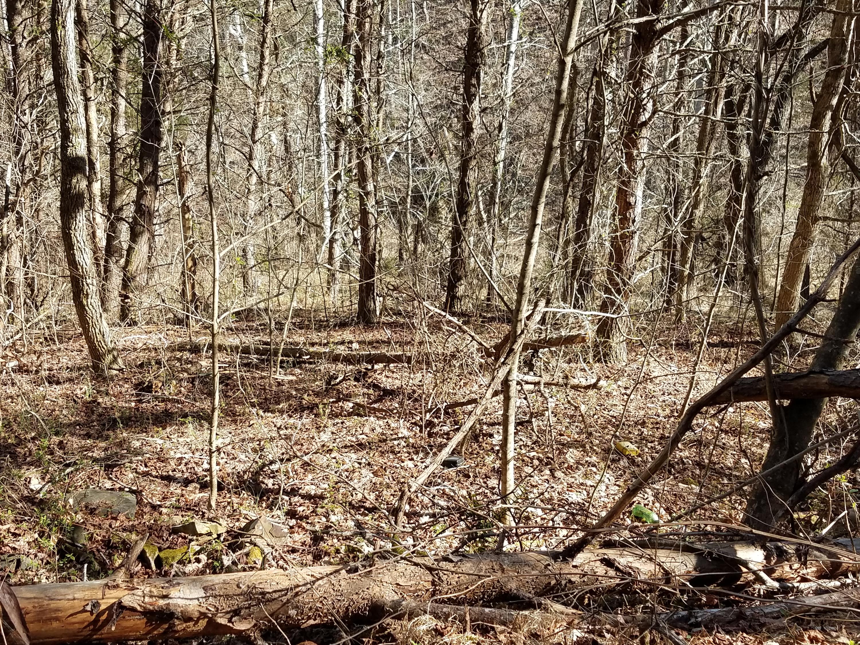 Tbd Miller Hollow Road, Unit 5ACRES Bean Station, TN 37708 - Photo 1 of 5 20180227_150740