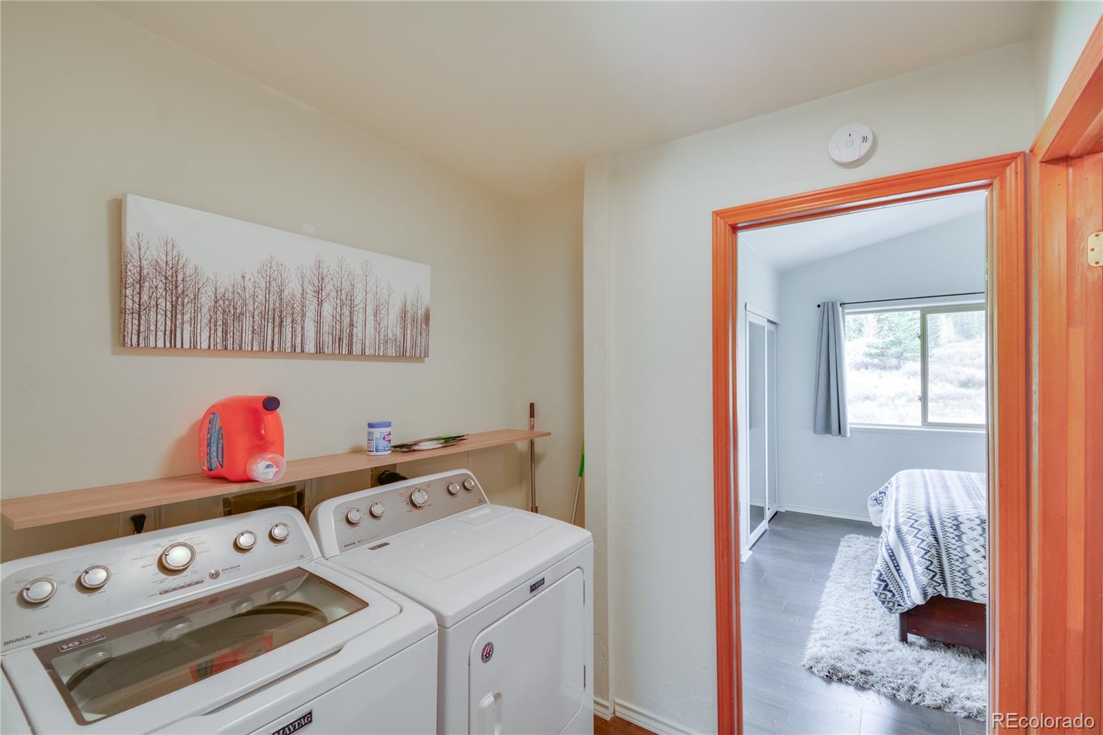141 Quartzville Road Alma, CO 80420 - Photo 25 of 48