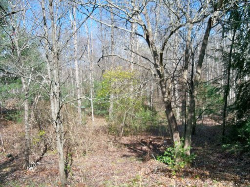 1690 Joe Tabor Road Crossville, TN 38571 - Photo 27 of 27 Additional Photo