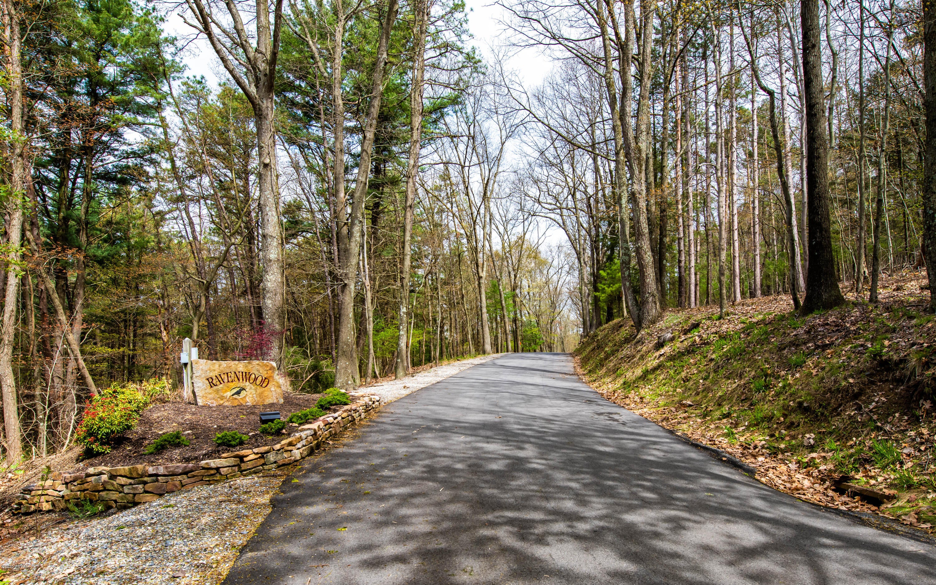 744 Grammer Road Williamsport, PA 17701 - Photo 69 of 69 Driveway