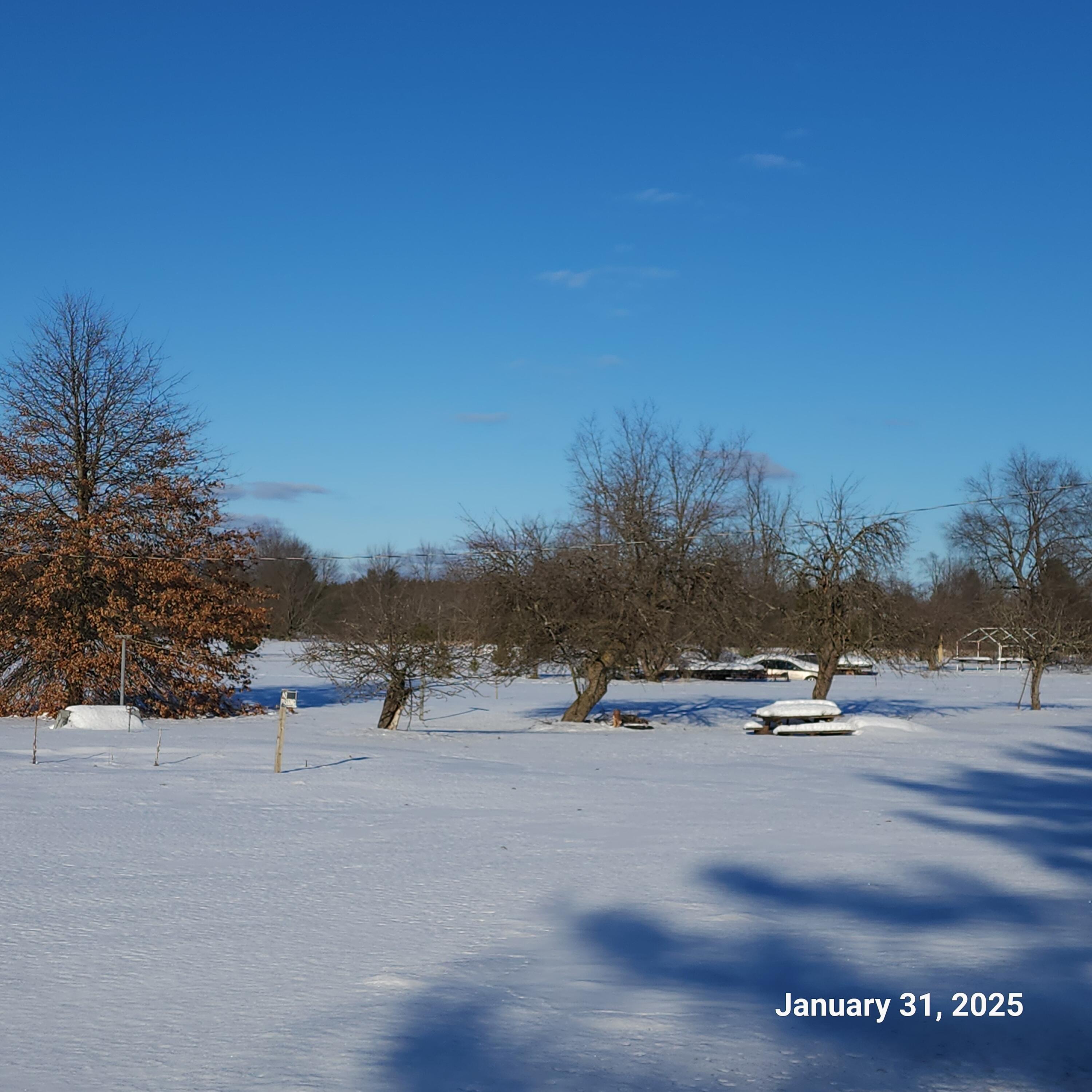 14084 13 Mile Road Bear Lake, MI 49614 - Photo 7 of 10 20250131_154736