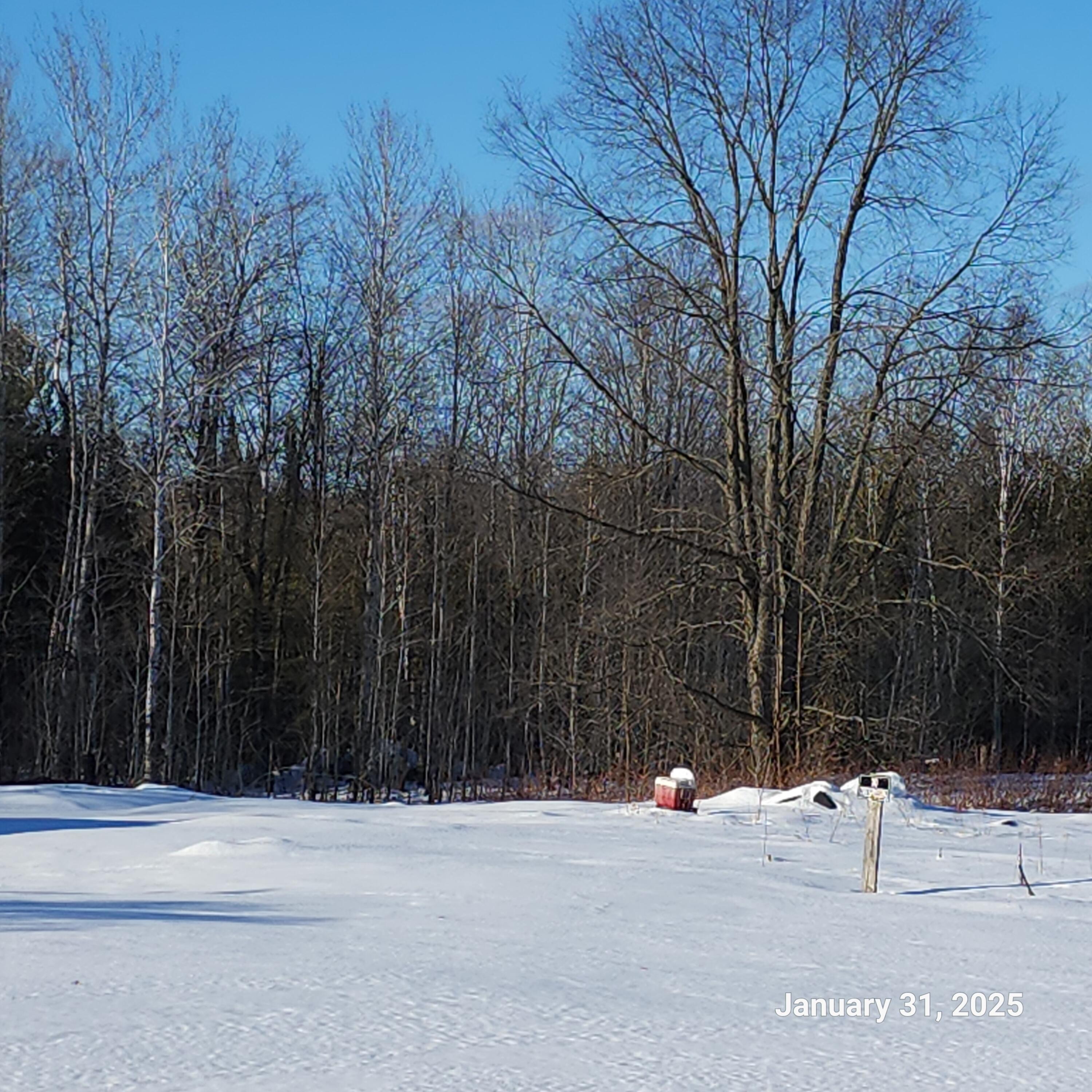 14084 13 Mile Road Bear Lake, MI 49614 - Photo 9 of 10 20250131_154800