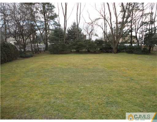 22 Innes Road East Brunswick, NJ 08816 - Photo 11 of 18 a view of a yard