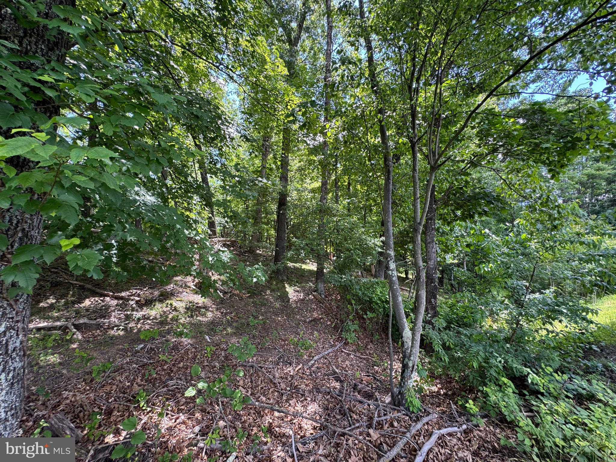 Sand Mine Road, Unit 9 Berkeley Springs, WV 25411 - Photo 12 of 17
