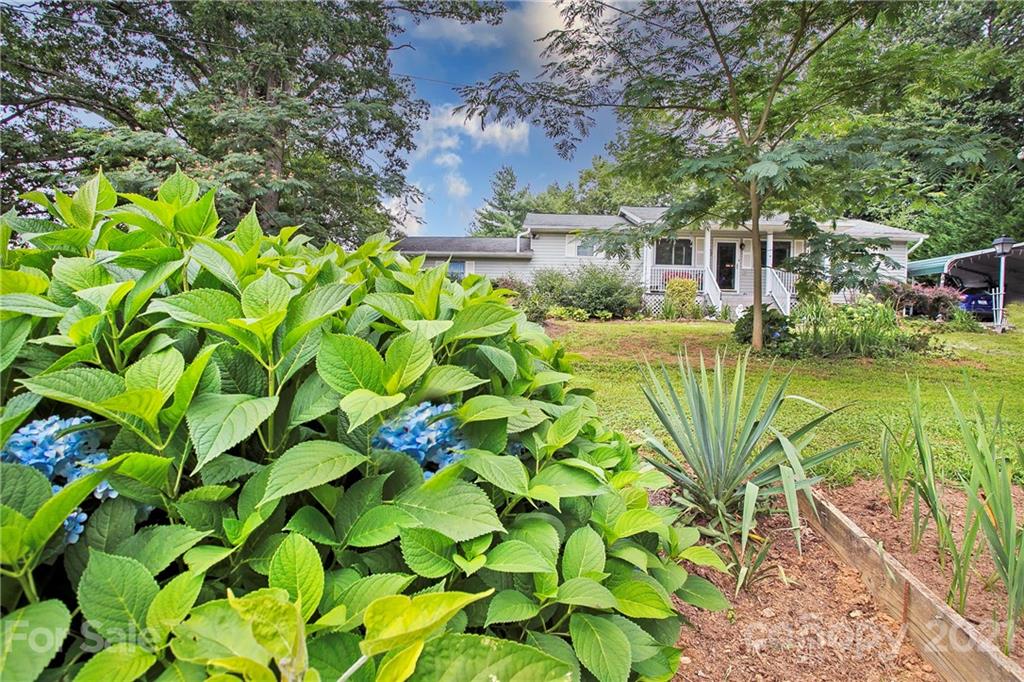 279 Jackson Loop Road Flat Rock, NC 28731 - Photo 4 of 43 Gallery Image 4
