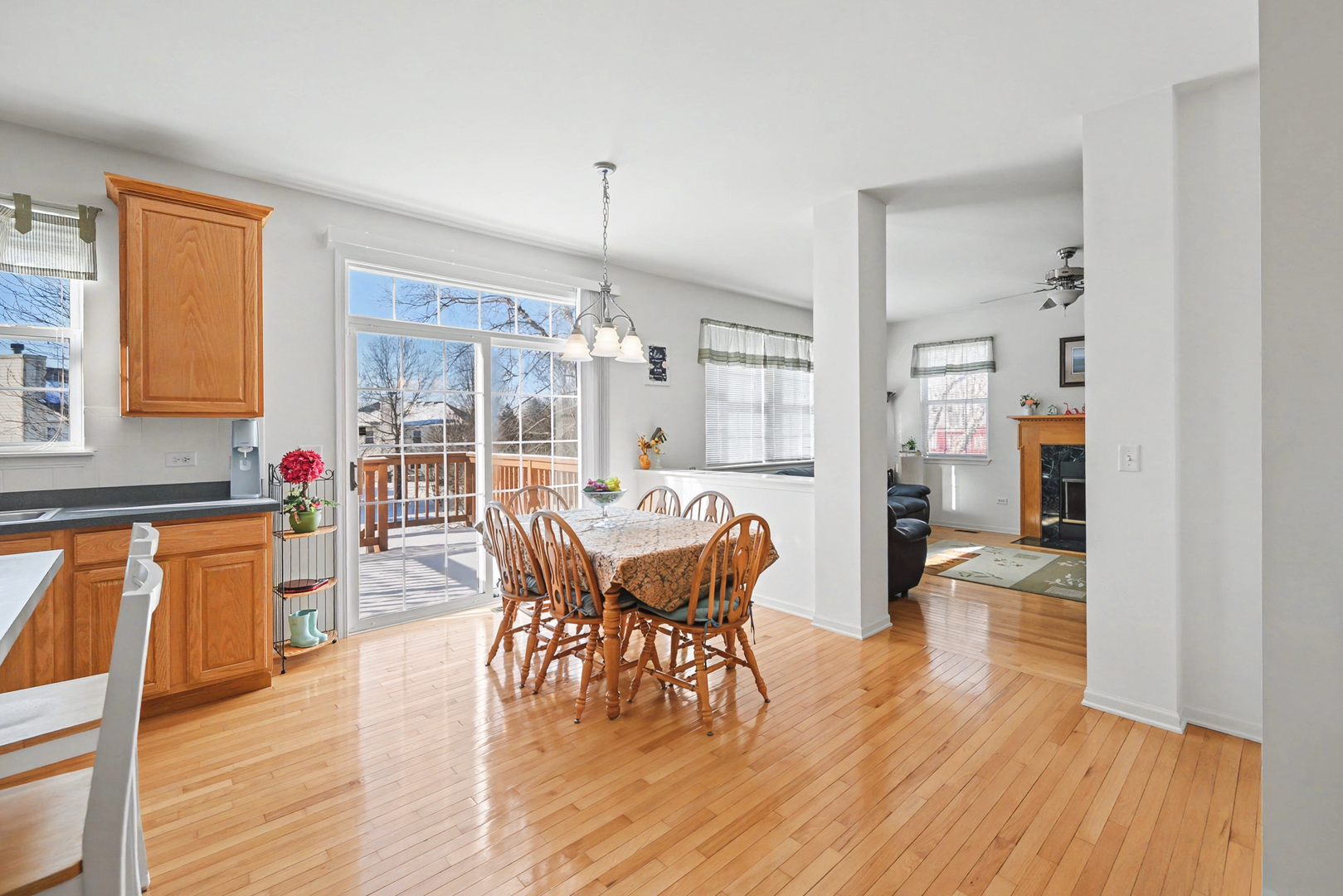 820 Spring Creek Circle Naperville, IL 60565 - Photo 14 of 37