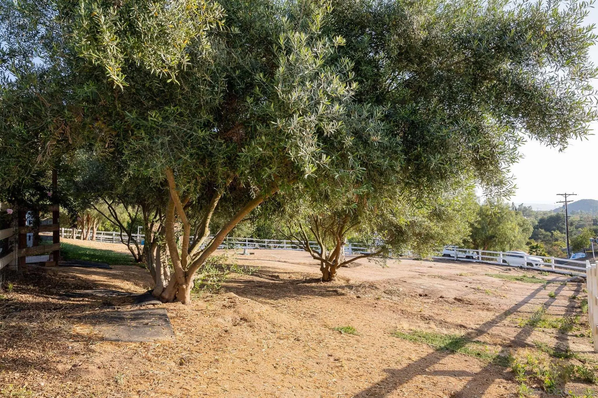 15435 Eastvale Road Poway, CA 92064 - Photo 43 of 57 a view of backyard space and trees