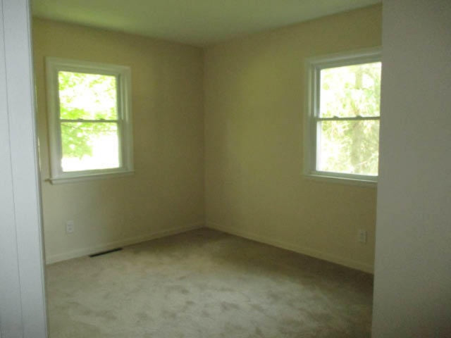 313 North 28th Street Springfield, MI 49037 - Photo 6 of 11 IMG_8850