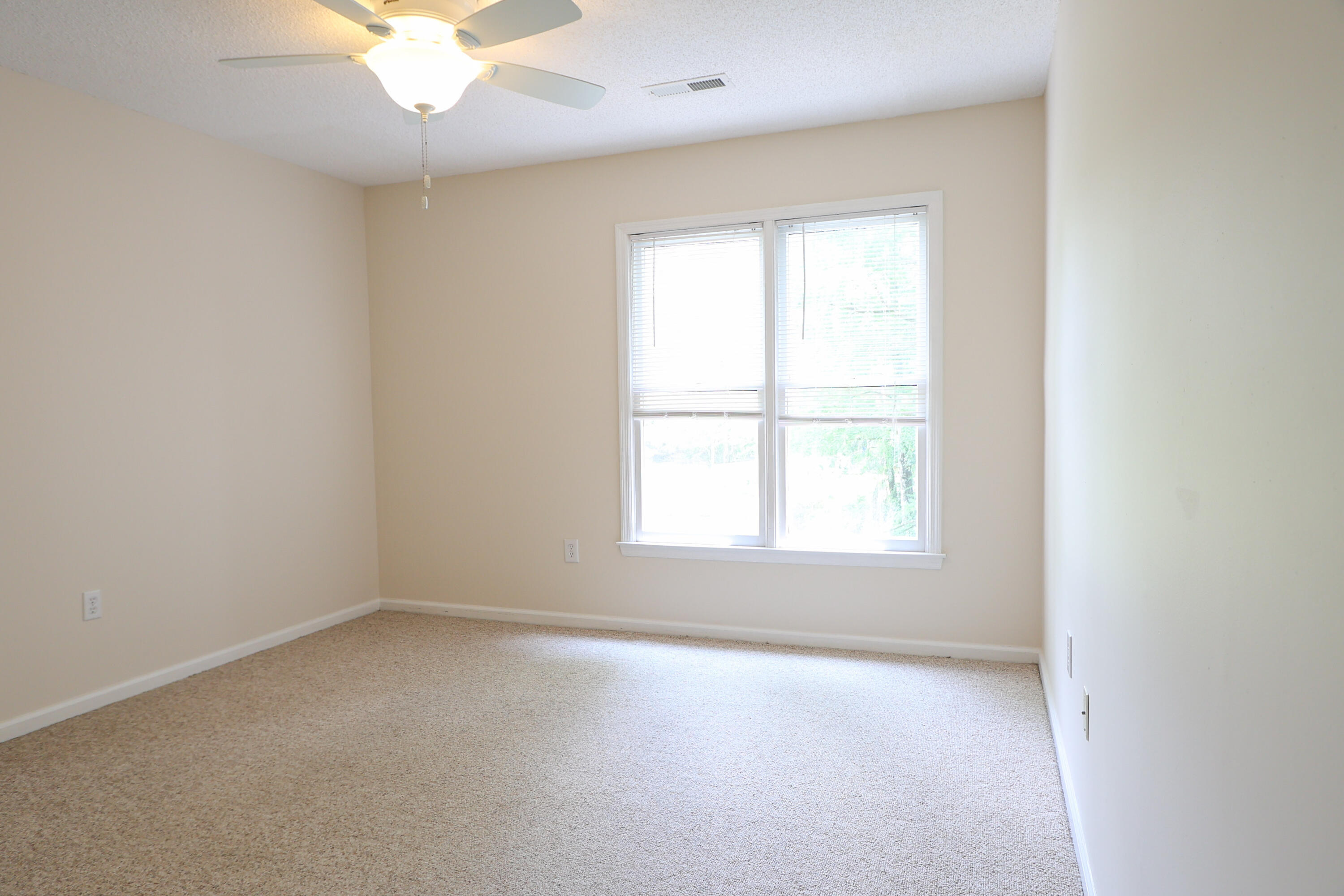 403 Sunny Side Way Summerville, SC 29485 - Photo 16 of 20 382A6583-9