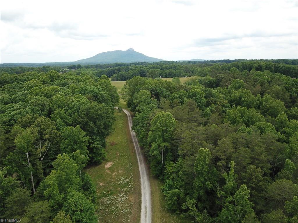 377 Scott Road Pinnacle, NC 27043 - Photo 2 of 44