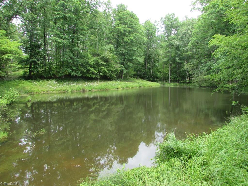 377 Scott Road Pinnacle, NC 27043 - Photo 31 of 44