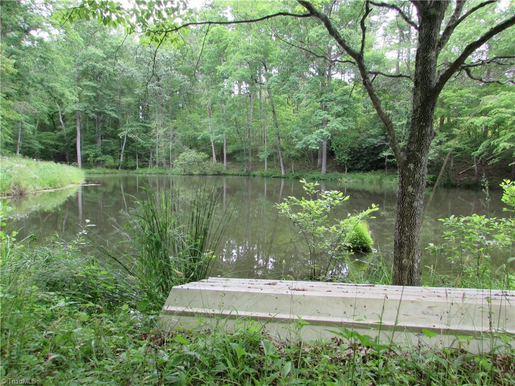 377 Scott Road Pinnacle, NC 27043 - Photo 32 of 44