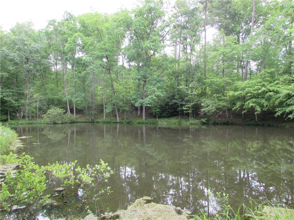 377 Scott Road Pinnacle, NC 27043 - Photo 33 of 44