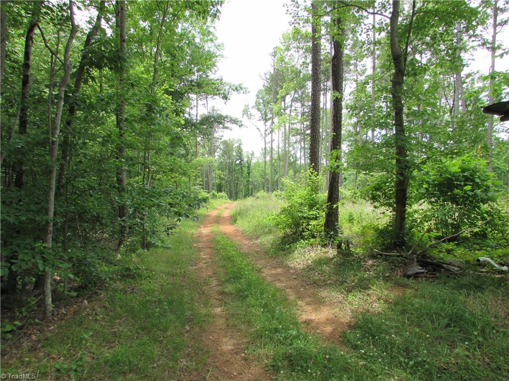377 Scott Road Pinnacle, NC 27043 - Photo 38 of 44