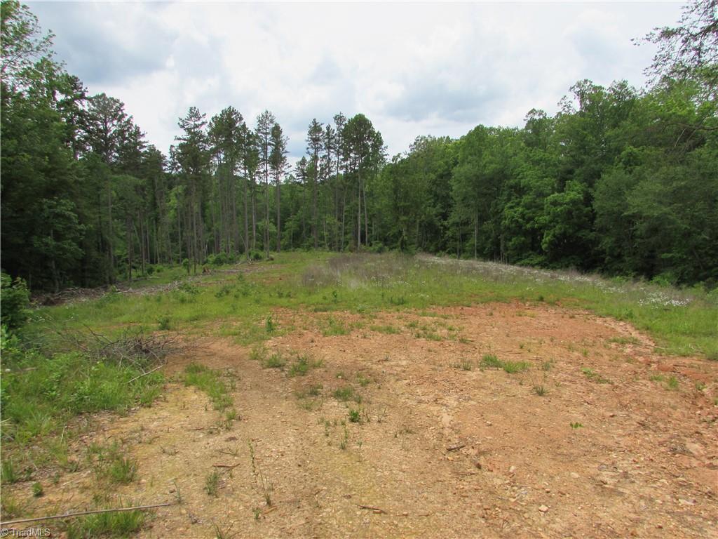 377 Scott Road Pinnacle, NC 27043 - Photo 39 of 44