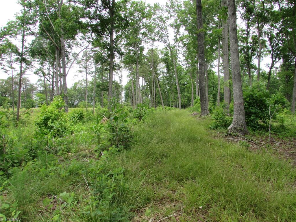 377 Scott Road Pinnacle, NC 27043 - Photo 40 of 44