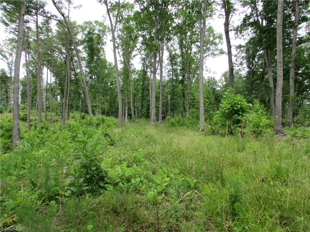 377 Scott Road Pinnacle, NC 27043 - Photo 41 of 44