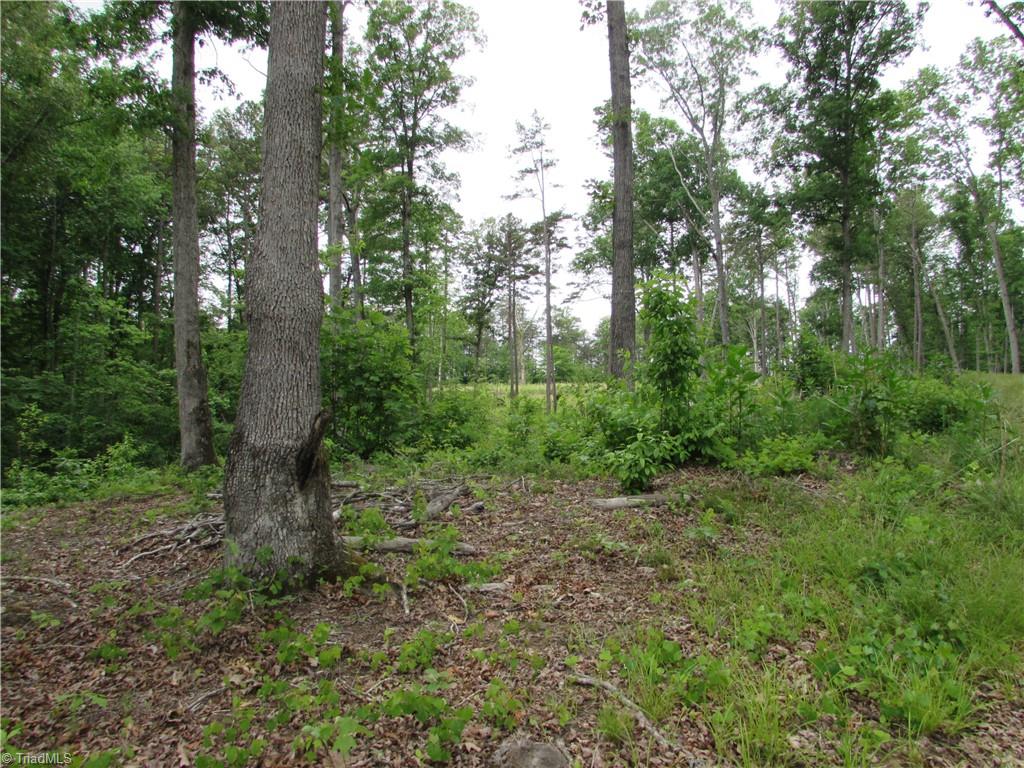 377 Scott Road Pinnacle, NC 27043 - Photo 42 of 44