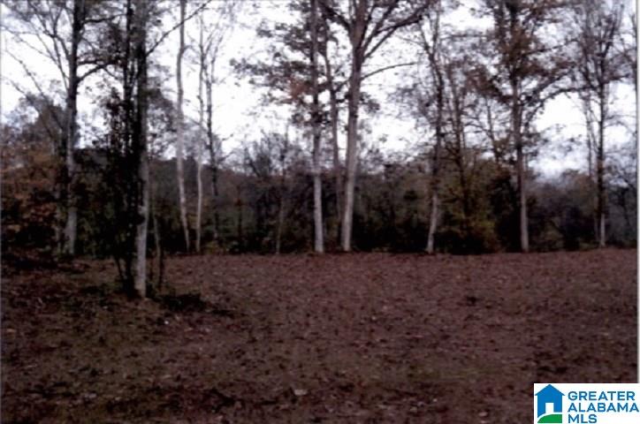 0 County Road 2, Unit 1 Heflin, AL 36264 - Photo 8 of 8