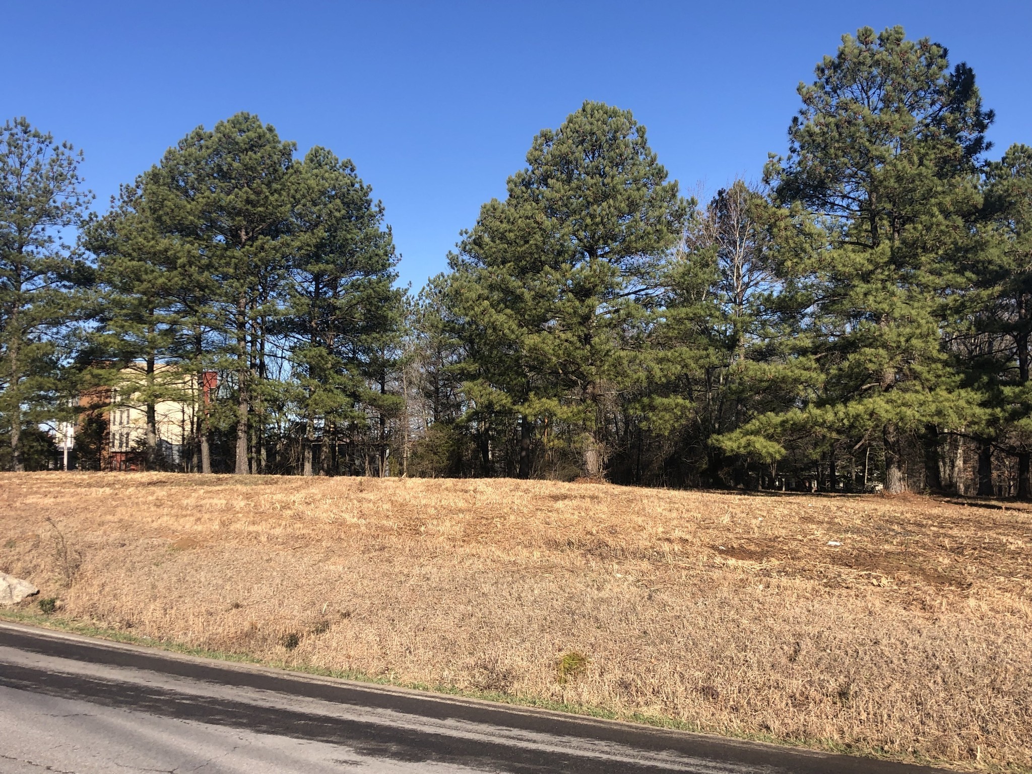 0 Gum Branch Road Burns, TN 37029 - Photo 2 of 10 a view of yard with trees