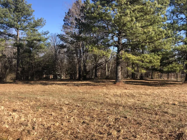 $319,000 | 0 Gum Branch Road, Burns, TN 37029