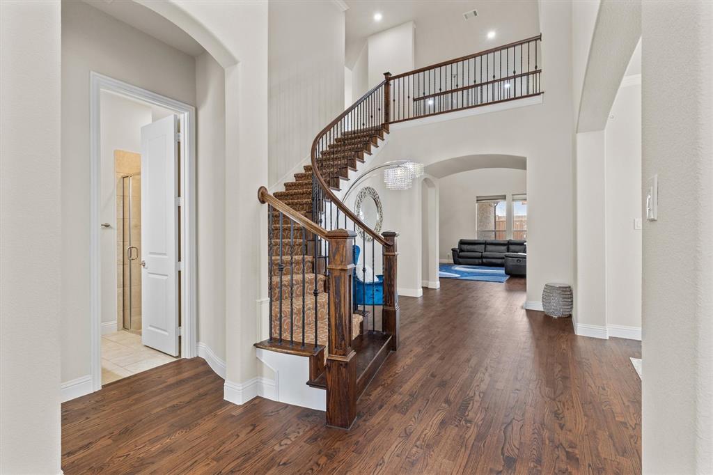 10611 Ferdinand View Frisco, TX 75035 - Photo 3 of 40