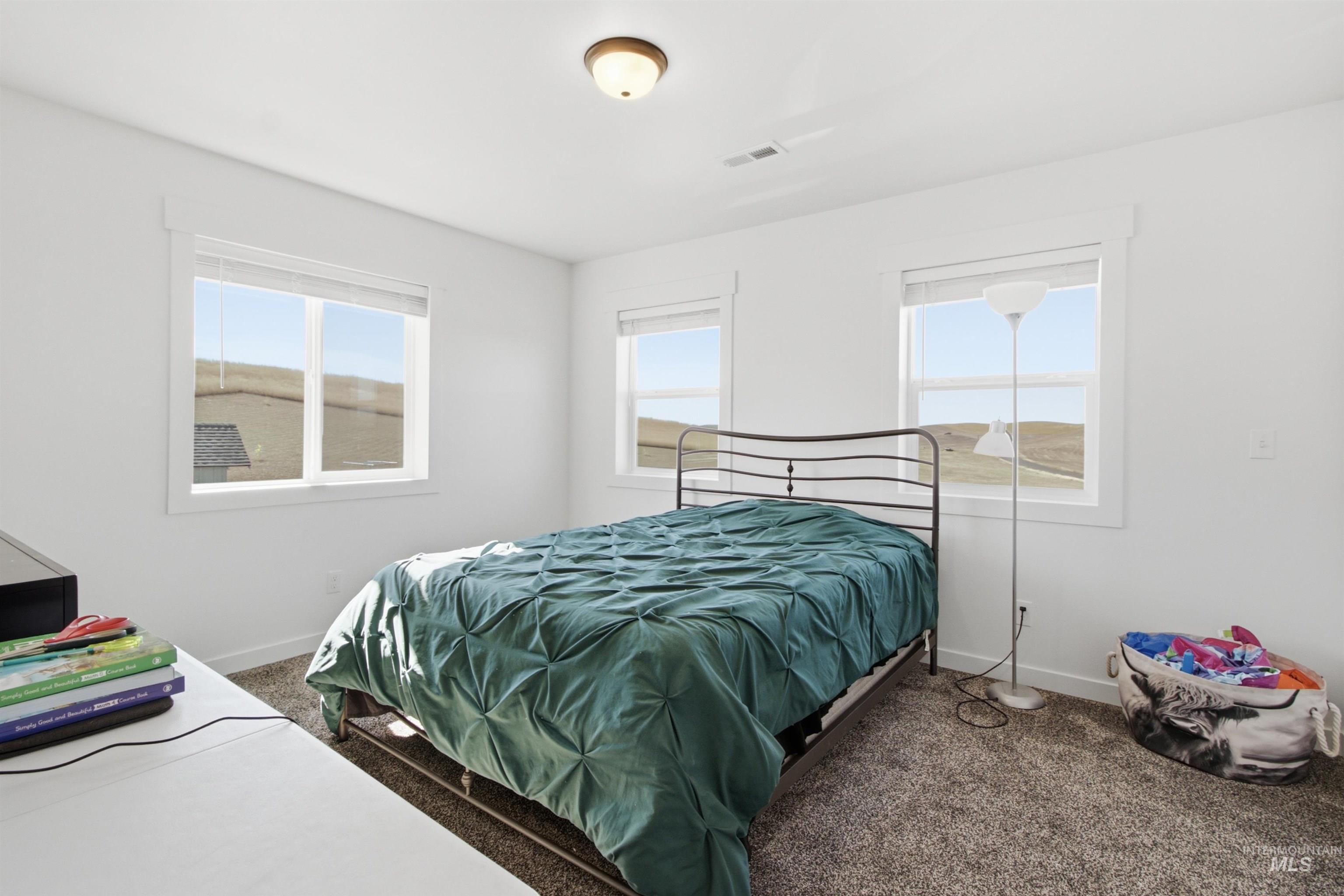 1032 Duffield Flat Road Potlatch, ID 83855 - Photo 38 of 50 Light-toned walls, multiple windows, wall-to-wall carpeting, and a flush mount ceiling light