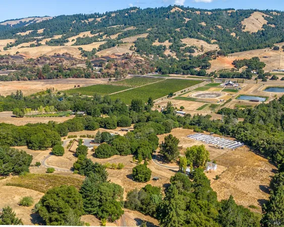 an aerial view of residential houses with outdoor space and trees