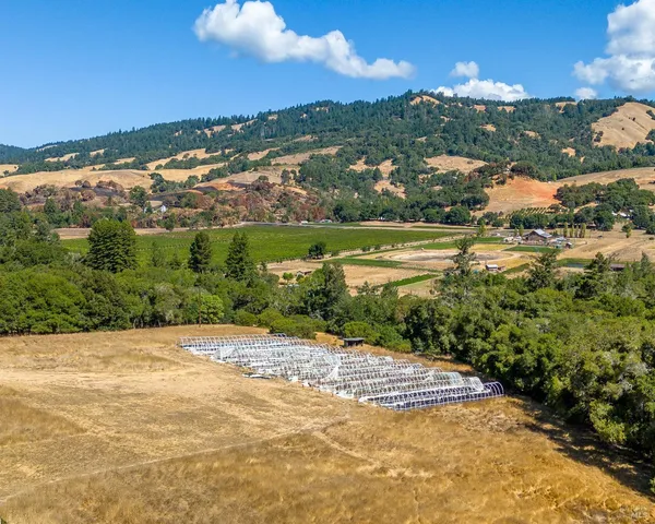 a view of a lake with a city