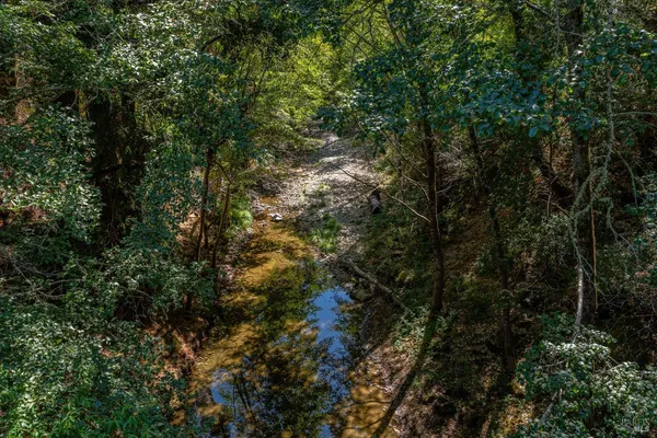 a view of a city with lush green forest
